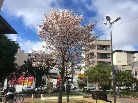 Primavera começa às 3h50 deste sábado